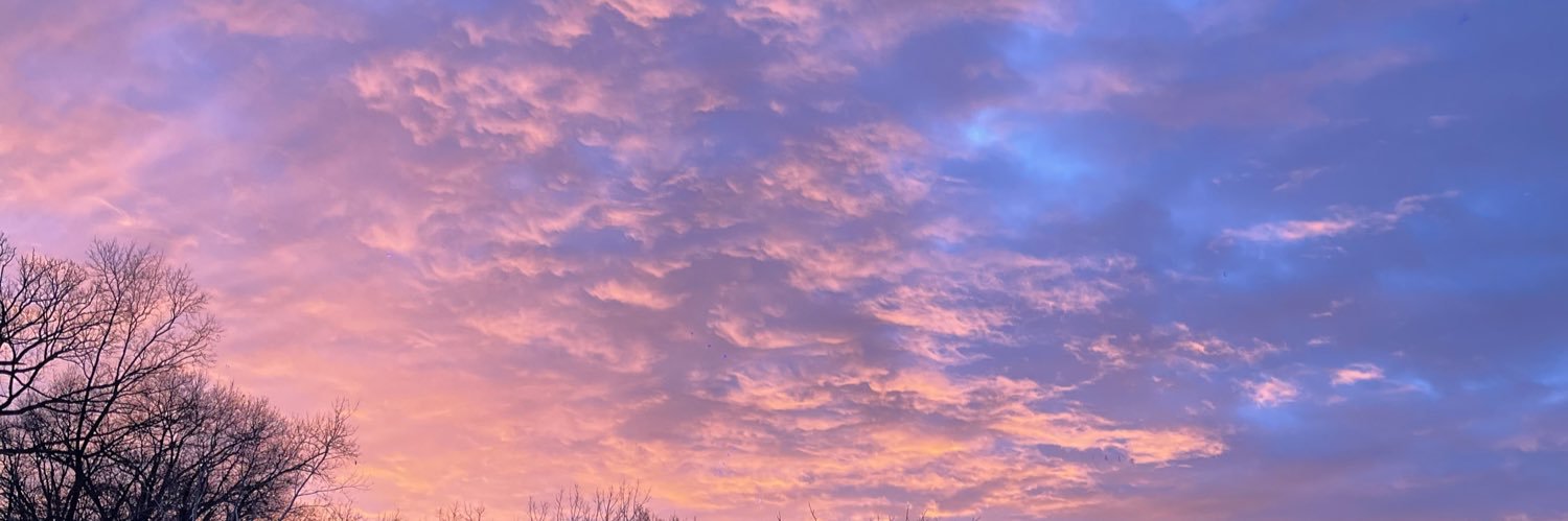 queenleee_x's profile banner image