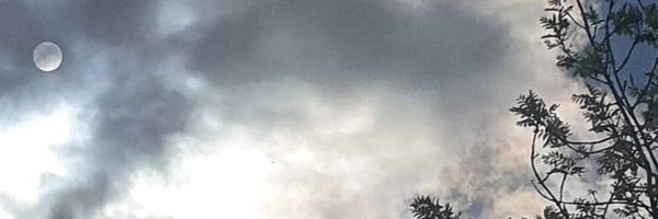 zepiskye2 Profile Banner