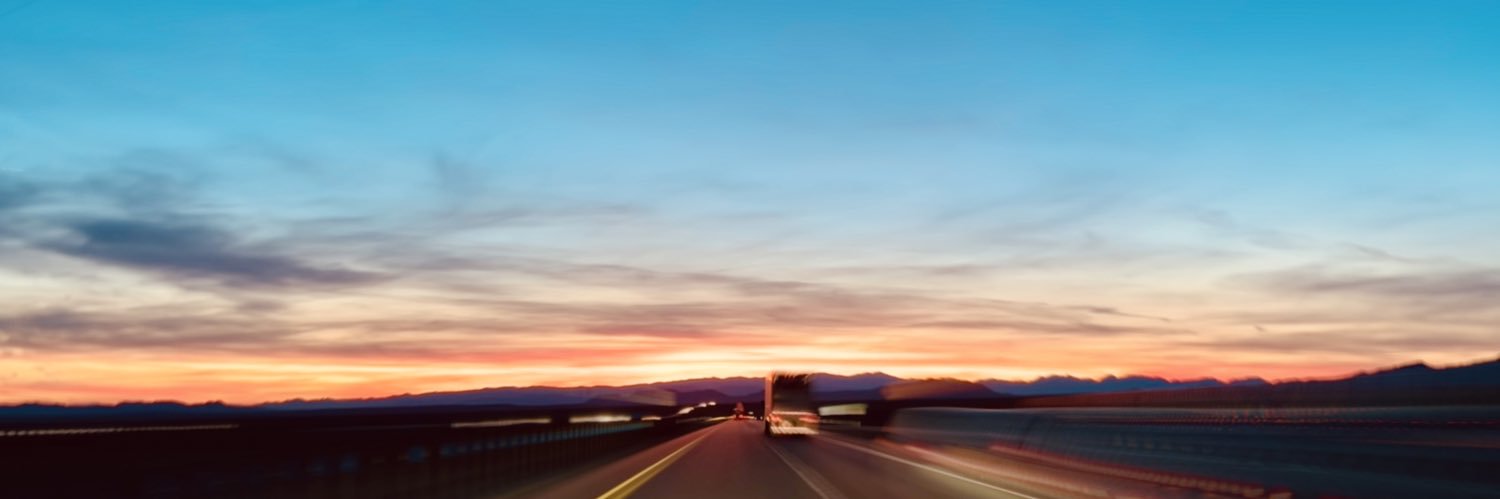 Robert Merrill banner