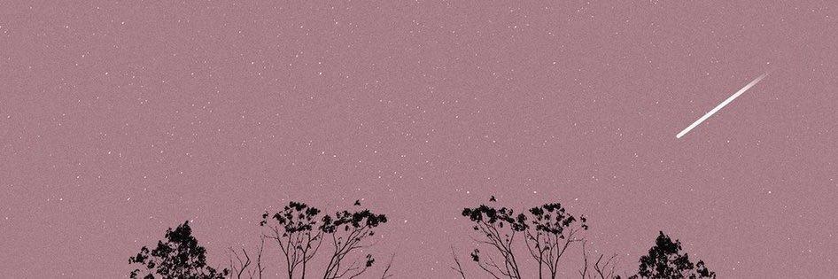 Bpchnz's profile banner image