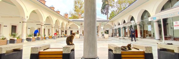 nekosanpoch Profile Banner