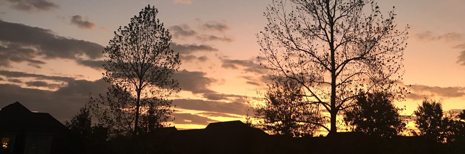 filterthree's profile banner image