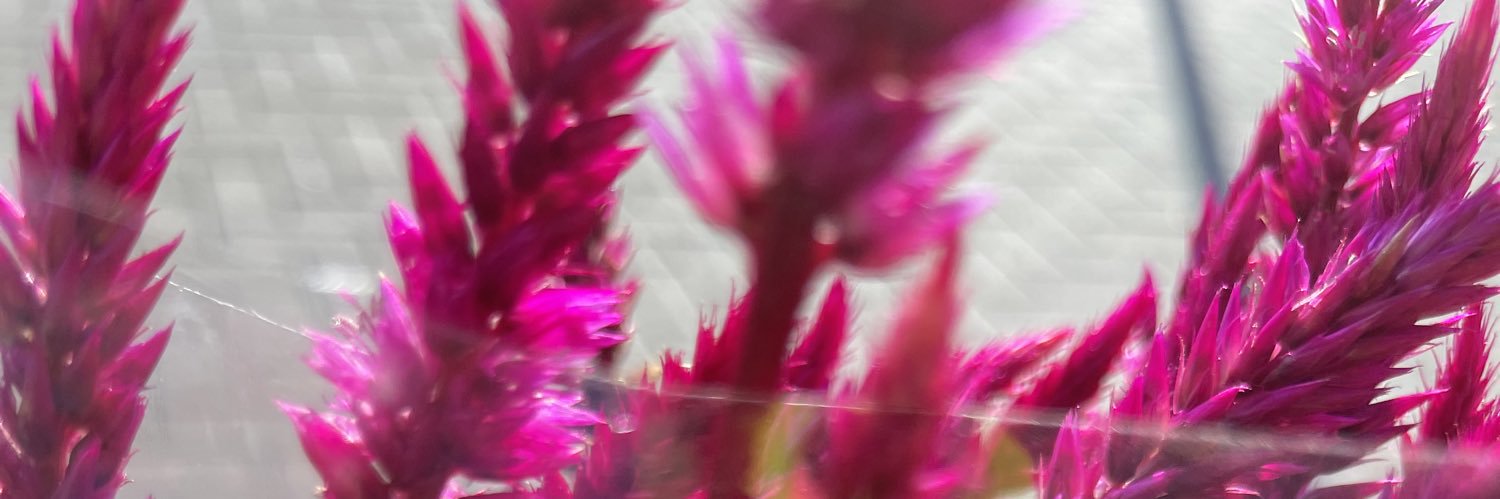 kameelah janan rasheed banner