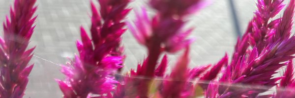 sprawlingtext Profile Banner