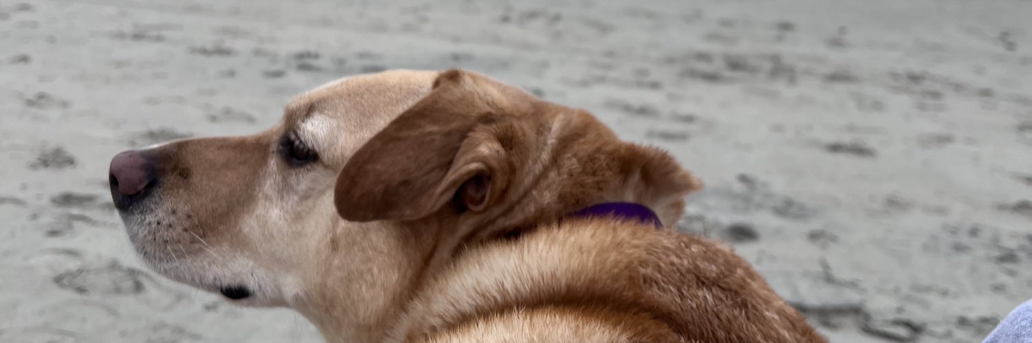 aeaker_303's profile banner image