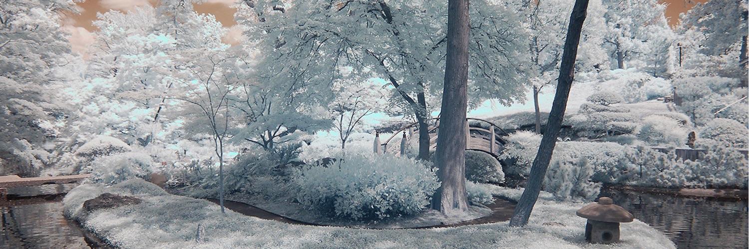 carson_oc's profile banner image