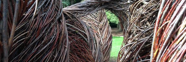 ChelseaCoum Profile Banner