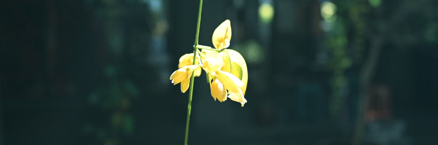 yrk1014's profile banner image