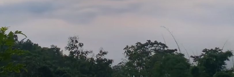 01 banner