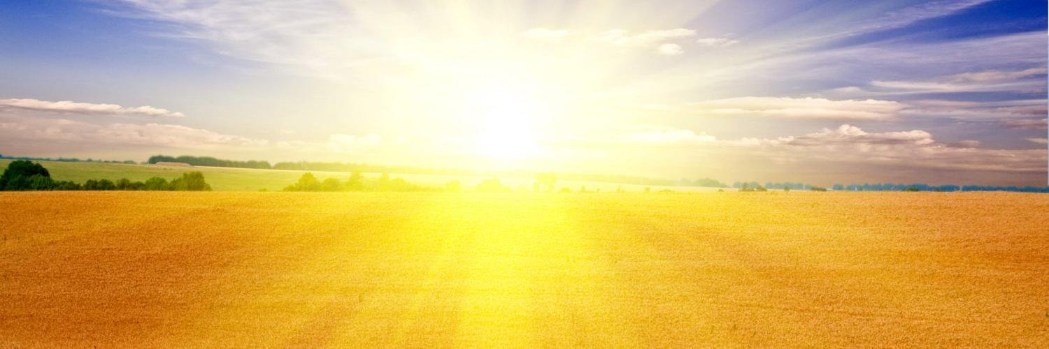 KibiSoft's profile banner image