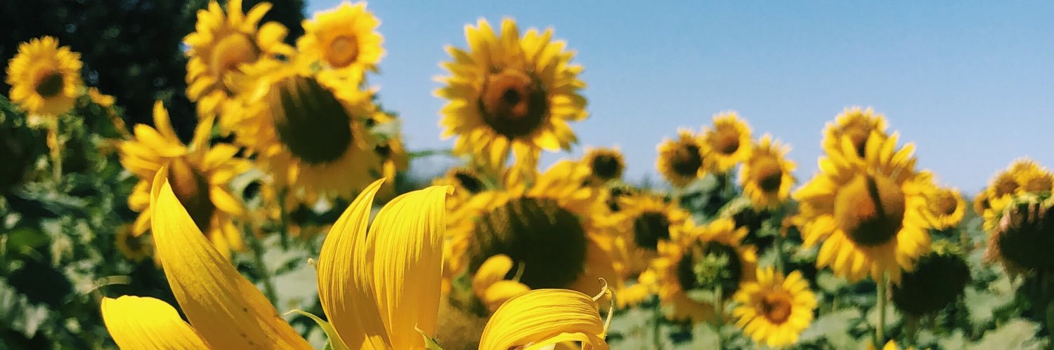 emilyjay1234's profile banner image