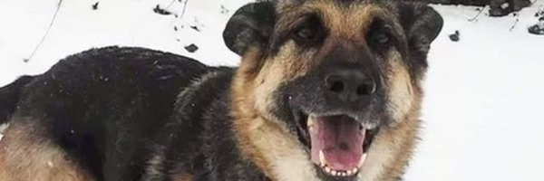 MichelleOC12 Profile Banner