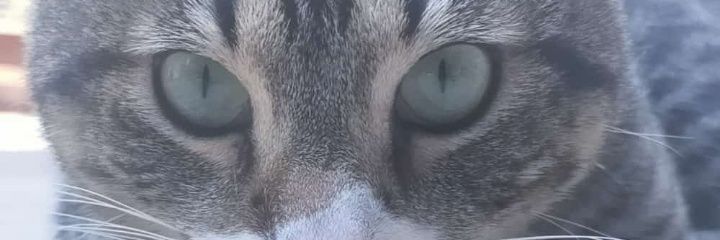 FabyEM15's profile banner image