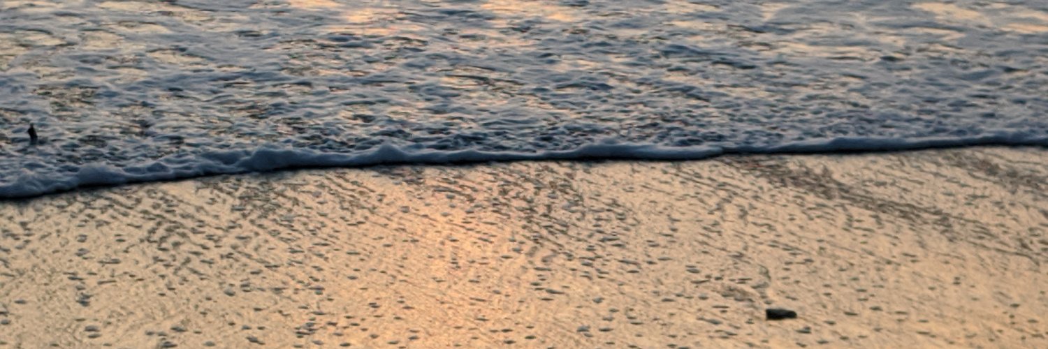 Heather Stark banner