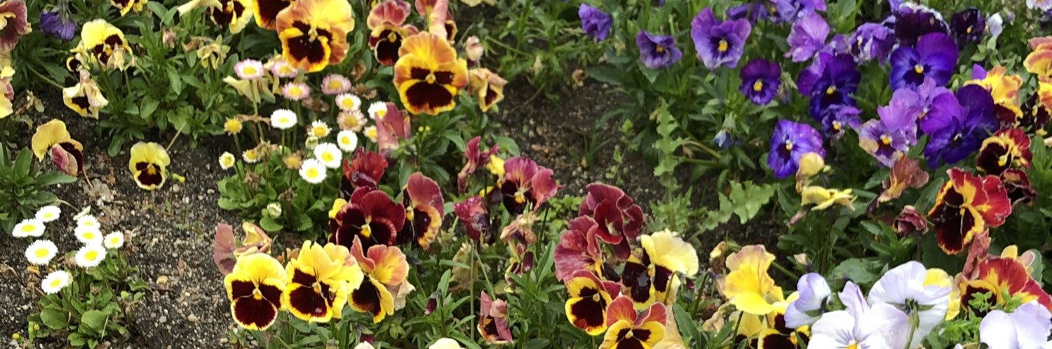 valeriagsselle's profile banner image