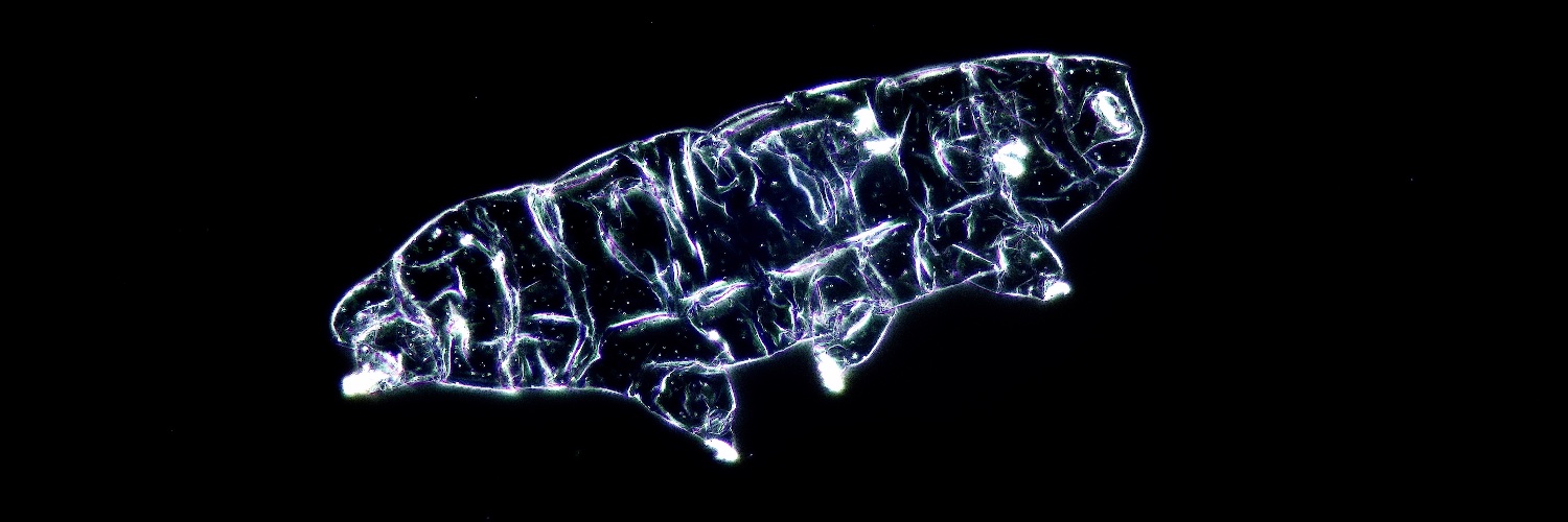 Tardigradopedia's banner