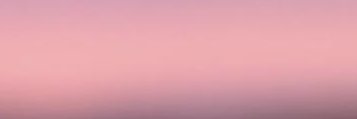 0800Palmer's profile banner image