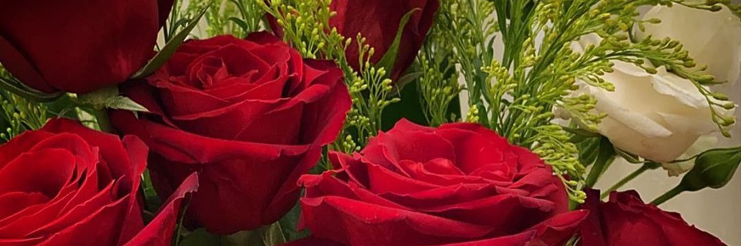 فيصل 🇸🇦🐪 ⛺️ banner