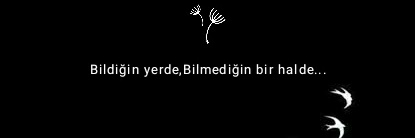 _AbdullahYAVUZ's profile banner image