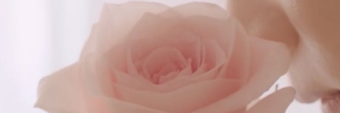 ImMissLeeJae's profile banner image