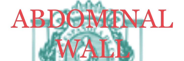 Seccion Pared AEC banner