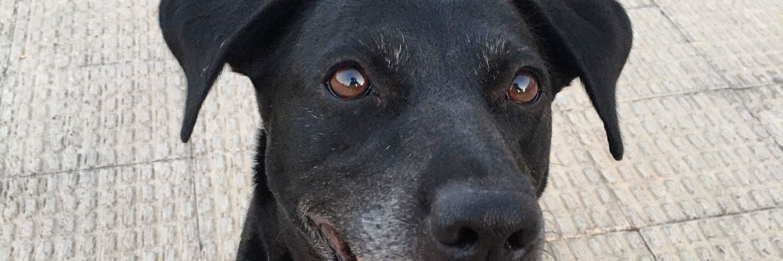 Vickymoorcillo's profile banner image
