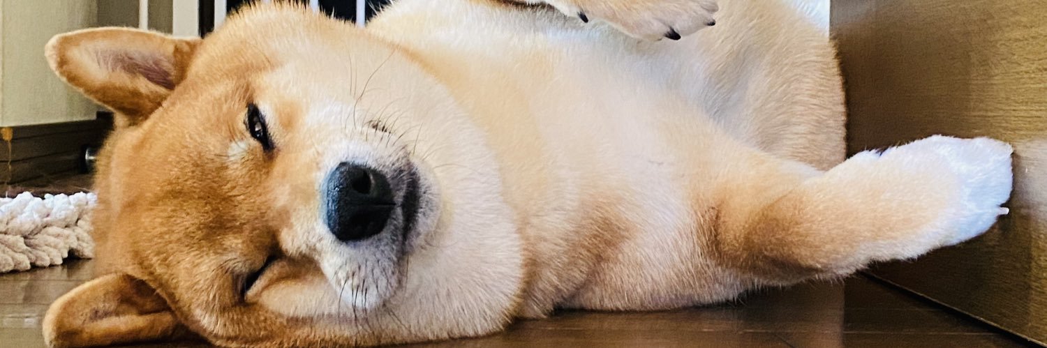 mnk_lcs's profile banner image