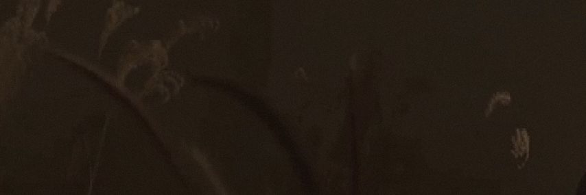 weirddoy's profile banner image