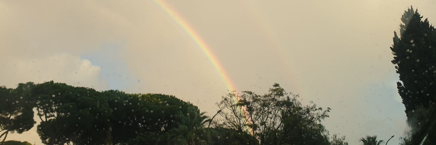 🎵 banner