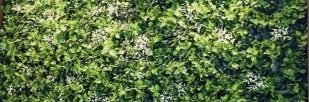 lesbianpoints's profile banner image