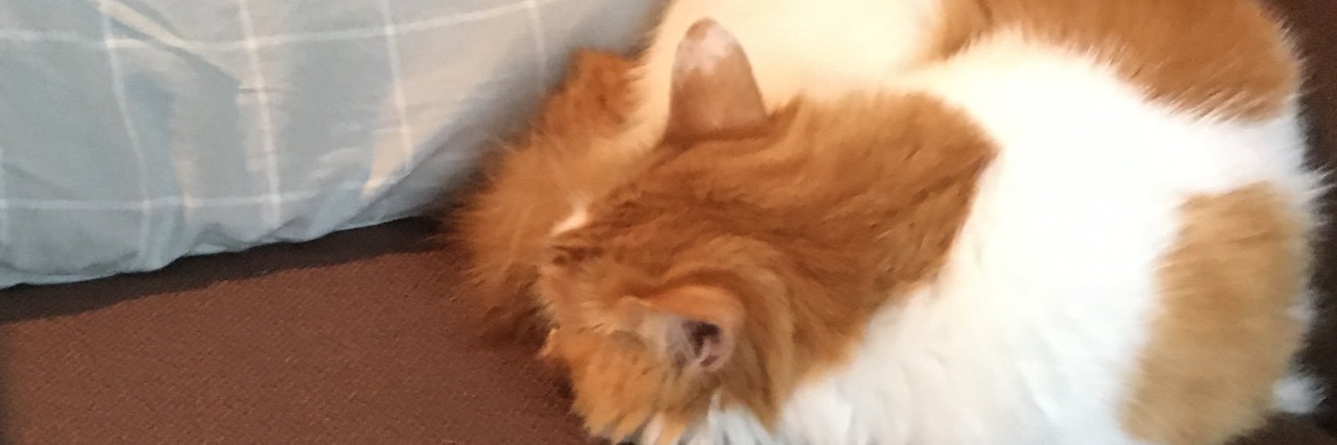 Uturogi_toN's profile banner image