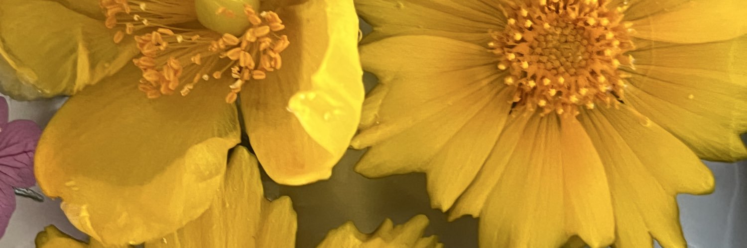 soshimi7's profile banner image