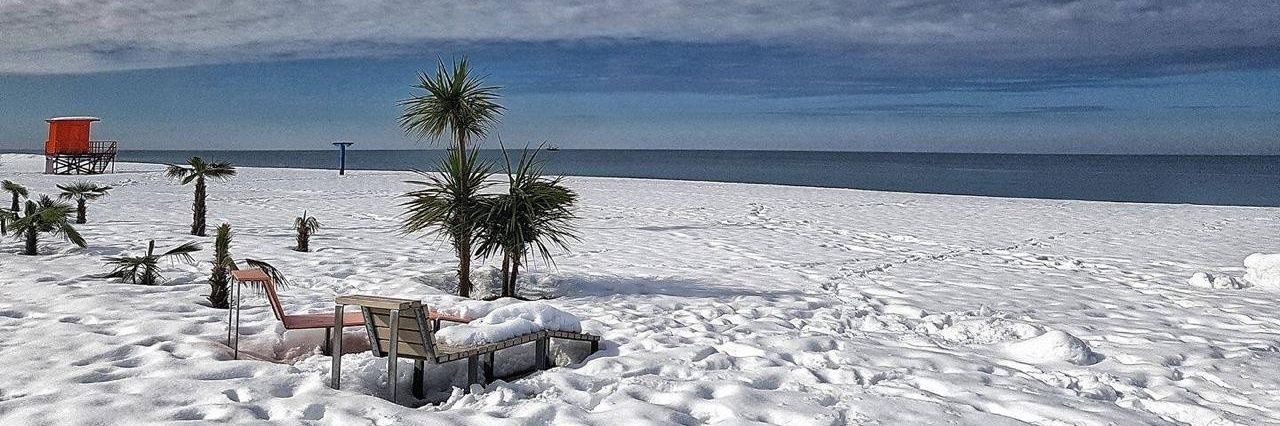 Tom Windedahl Jr banner