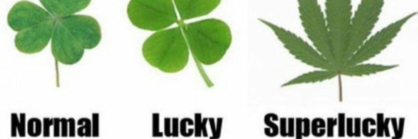 luvsmikepiazza's profile banner image