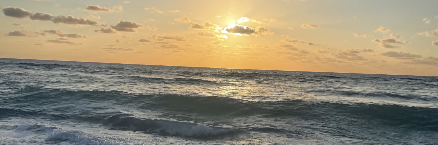 erikawint's profile banner image