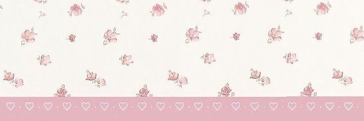 apaahann's profile banner image