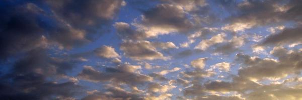 dcepa Profile Banner