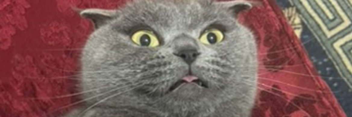 mmuse05's profile banner image