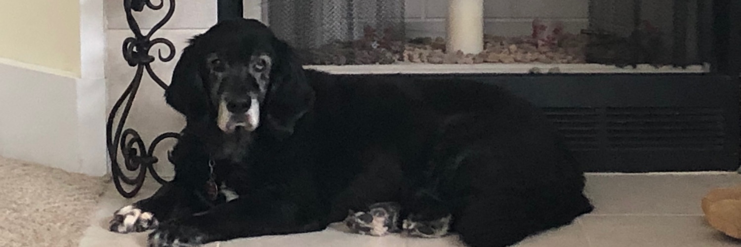 Acollier❤️ banner