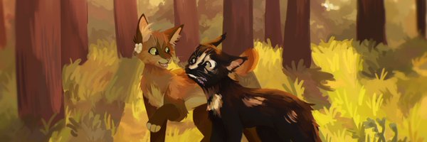 zorristars Profile Banner