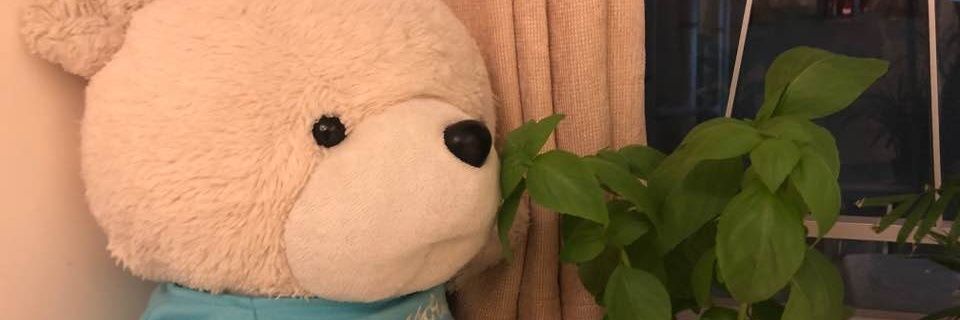psygomi's profile banner image