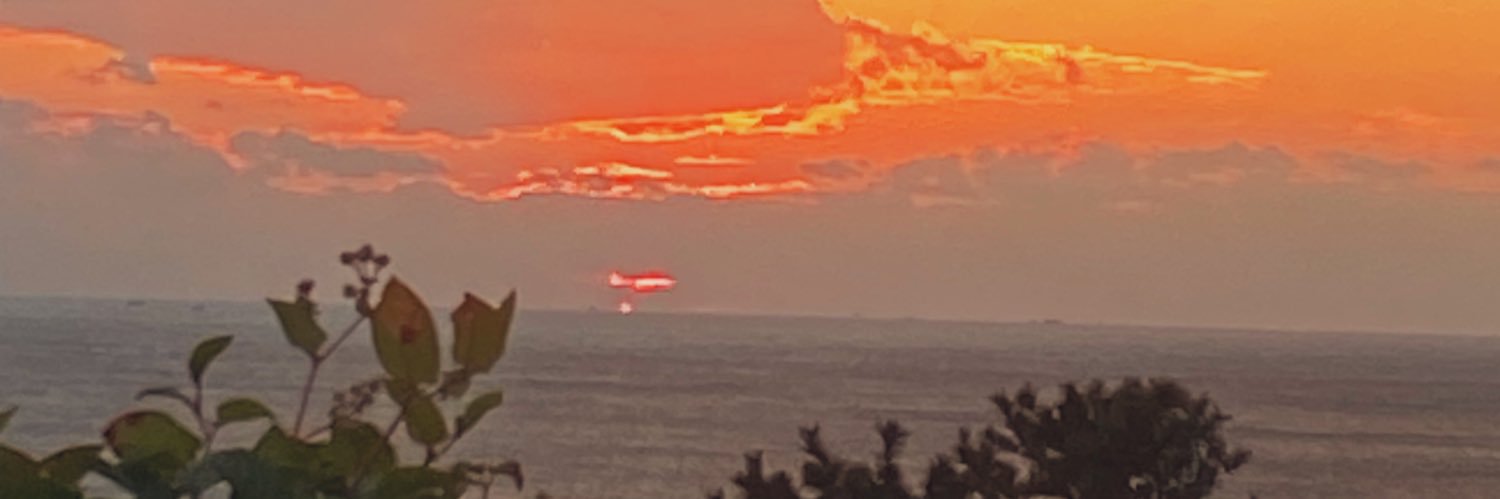 toriboon26's profile banner image