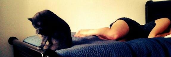 AshleySabrina's profile banner image