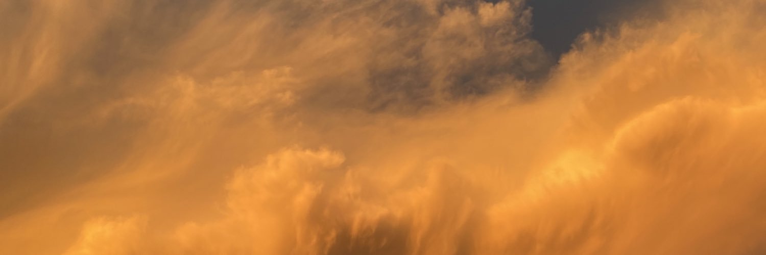 alealeale1203's profile banner image