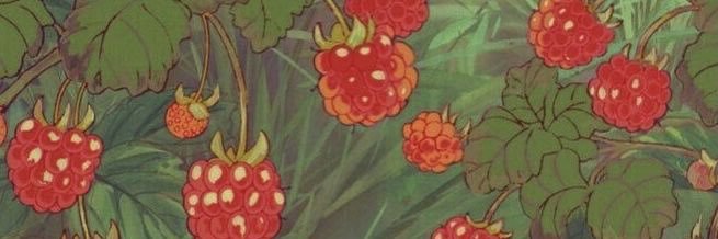 shelbsshttps's profile banner image