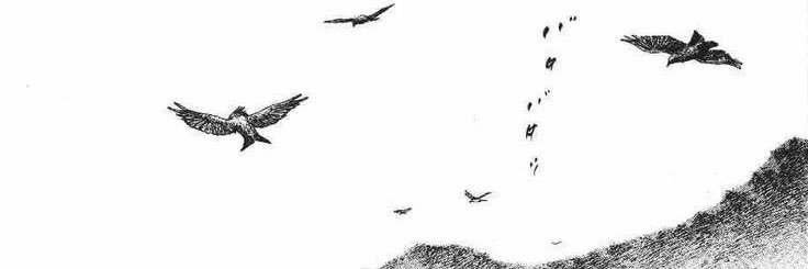 ixfi22's profile banner image
