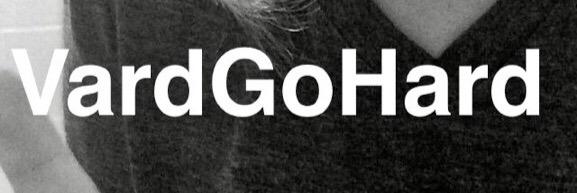 vardGOhard's profile banner image