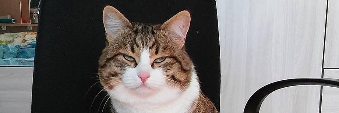Mithmons's profile banner image