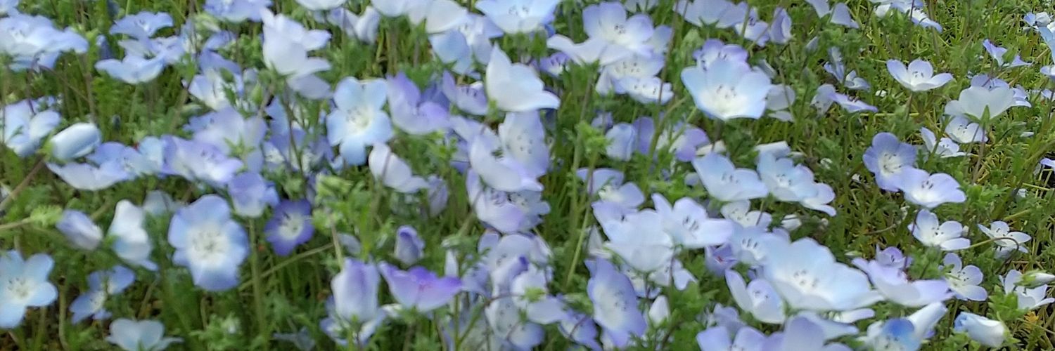おいさんです banner
