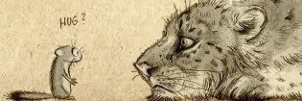 martosmnib's profile banner image